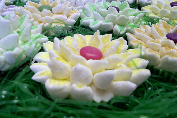 Flower Cupcakes Closeup